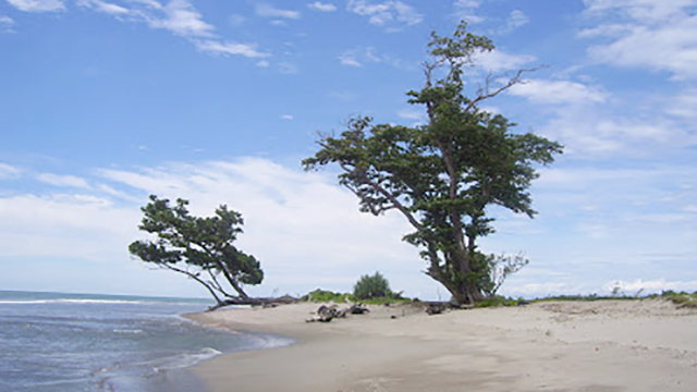 Eksplorasi Eksotis Pantai Teluk Sepang yang Belum Terjamah